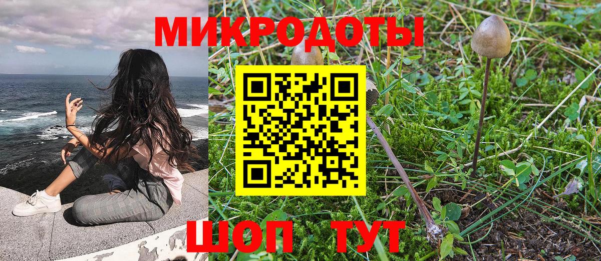 Галлюциногенные грибы мицелий Кулебаки
