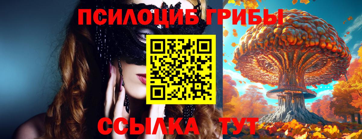 как найти   Псилоцибиновые грибы MAGIC MUSHROOMS  Вход с VPN  Кулебаки 